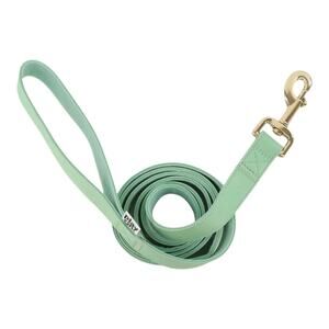 PLAY ON 6” Mint Green dog leash size medium/large up to 90lbs